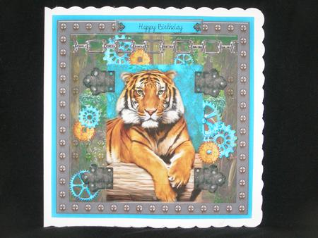 Let's Roar by Susan Smith