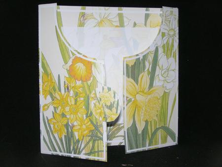 Daffodils 8in Drape Gatefold Card Kit by Susan Smith