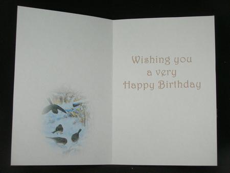 Seasonal Birds 8 Insert by Susan Smith