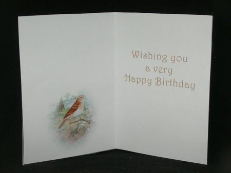 Seasonal Birds 10 Insert by Susan Smith
