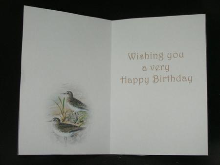 Seasonal Birds 11 Insert by Susan Smith
