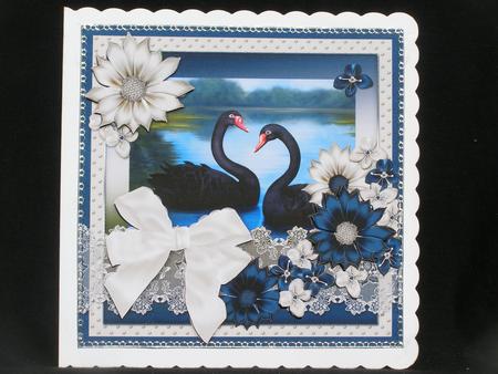 Black Swan Lake 7x7 by Susan Smith