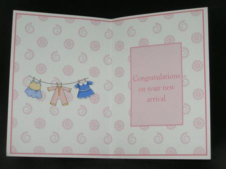 New Baby 2 Insert by Susan Smith
