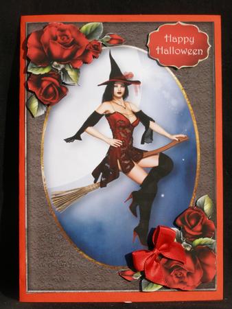 The Red Witch by Susan Smith