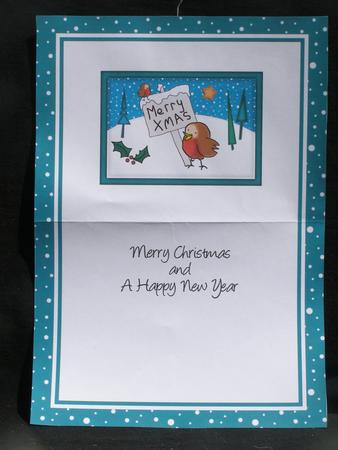 A5 Xmas Robins Matching Insert by Susan Smith