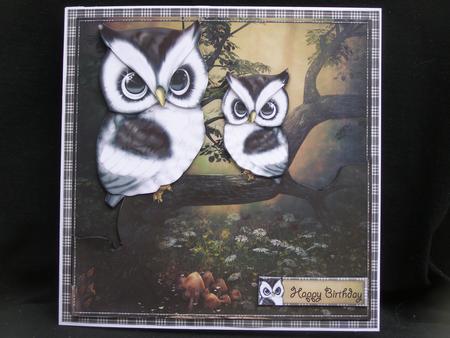 Just the Twoo of Us Mini Kit by Susan Smith
