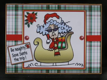Stella Says Save Santa the Trip by Susan Smith