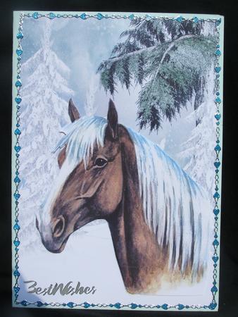 Beautiful Palamino Horse in the Snow by Susan Smith