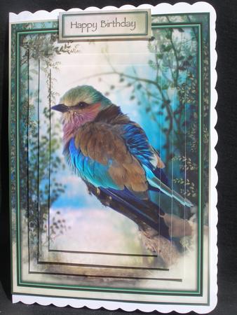 Morning Bird Mini Kit by Susan Smith