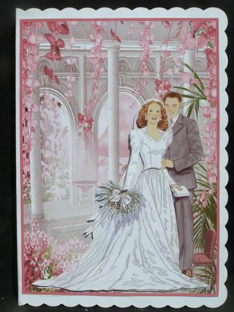 Wedding Extravaganza Bride and Groom 2 A5 by Susan Smith