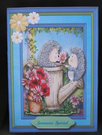 A5 Mini Kit Hedgehog Popsy Daisy  by Susan Smith