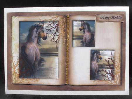 Male Card Horses Book by Susan Smith