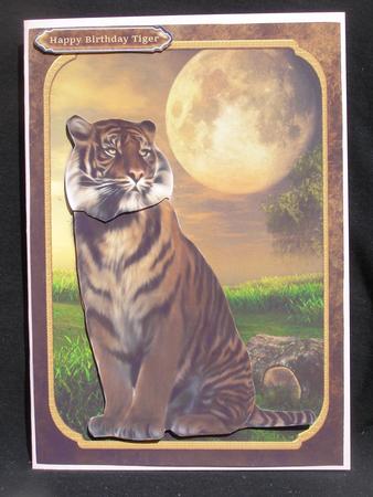 Birthday Tiger by Susan Smith