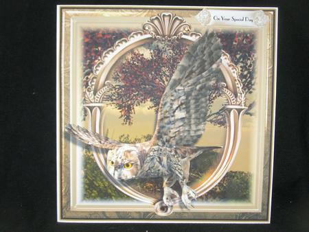 The Tawny Owl Card Front Kit by Susan Smith