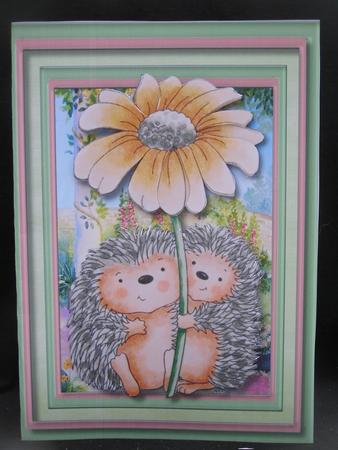 A5 Mini Kit Hedgehog Blossom  by Susan Smith