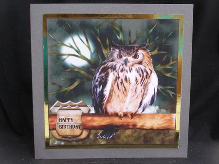 Wise Owl Birthday/other Occasion Male Card by Susan Smith