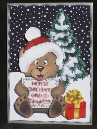 Cute Teddy in Santa Hat for Grandaughter by Susan Smith