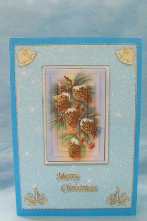 Fir Cones for Christmas by Susan Smith