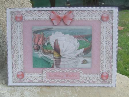 Water Lily 'n Lace Pyramid Card Front by Susan Smith
