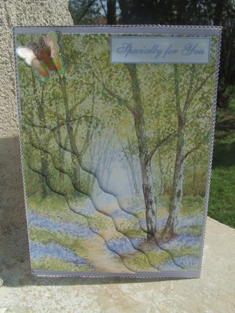A Path Through Bluebell Woods by Susan Smith
