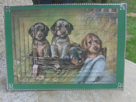 Basket of Puppies - Pyramid by Susan Smith