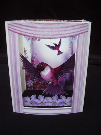 Flight of the Hummingbird Theatre Card by Susan van Dijk