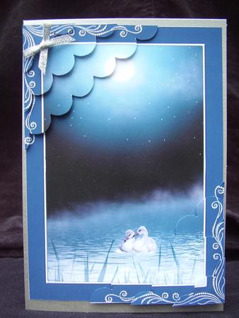 Swans Stacker Card by Susan van Dijk