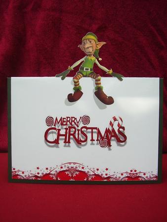 Christmas Elf by Susan van Dijk
