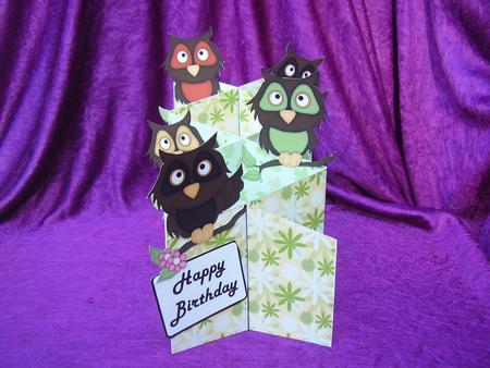 Owls Cascade Card Kit by Susan van Dijk