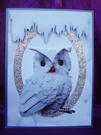 Snowy the Owl by Susan van Dijk