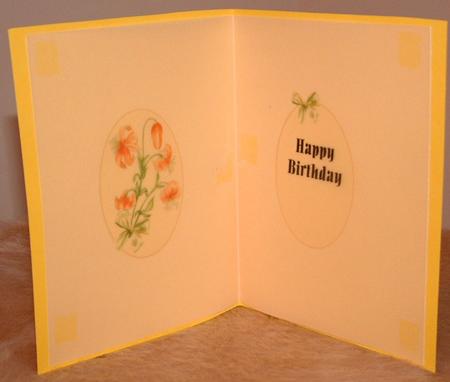 A Sprig of Orange Flowers Insert by Susan Wellhausen