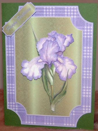 Lilac Glory by Susan Wellhausen