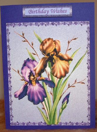 Iris Vintage Style by Susan Wellhausen