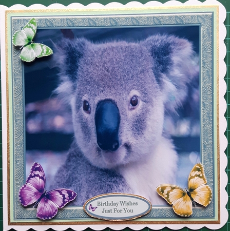 Sweet Little Koala 7x7 by Susan Heanes