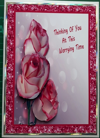 Pretty Roses by Susan Heanes