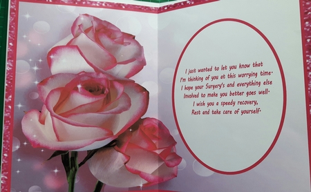 Pretty Roses Insert by Susan Heanes