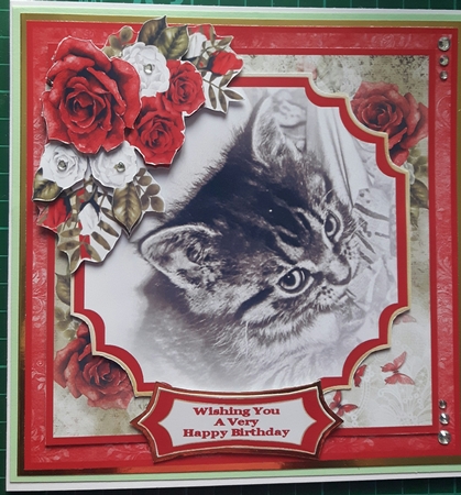Kitten Birthday Wishes - 7x7 Mini Kit by Susan Heanes