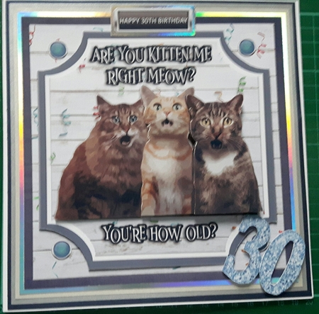 ARE YOU KITTEN ME? by Susan Heanes