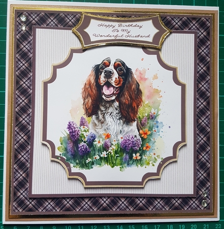Springtime Springer Spaniel - 7x7 Mini Kit by Susan Heanes