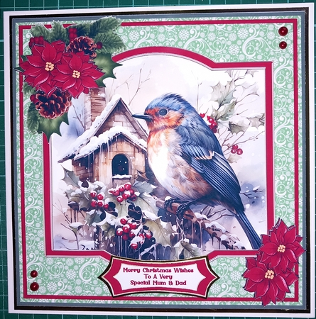 Christmas Robin, With Birdhouse - Mini Kit by Susan Heanes
