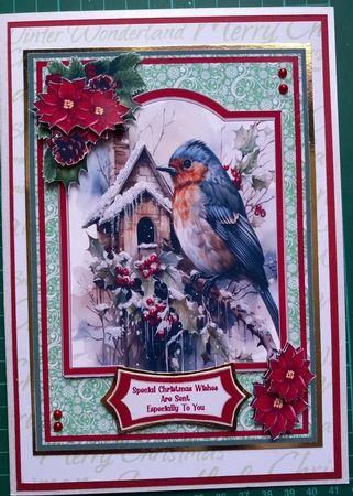Christmas Robin, With Birdhouse - 5x7 by Susan Heanes