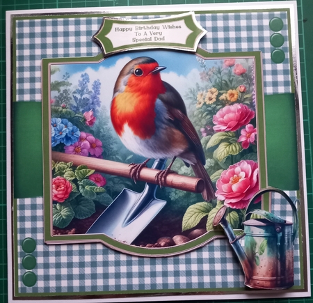 Robin In The Garden - Mini Kit by Susan Heanes