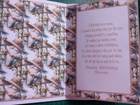 The Garden Pea Gnome - Insert 2 by Susan Heanes
