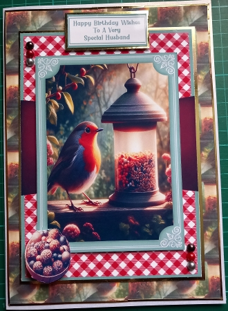 Garden Robin At The Bird Feeder - 5x7 by Susan Heanes