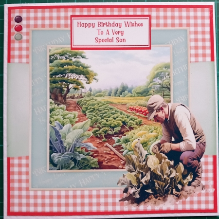 The Veg Patch - 6x6 by Susan Heanes