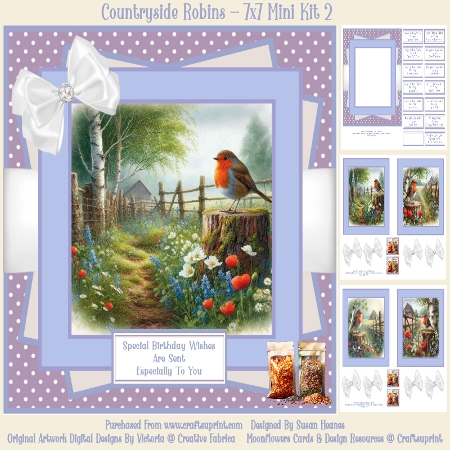 Countryside Robins by Susan Heanes