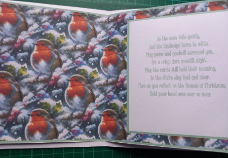 Sweet Robin Redbreast - 6x6 Mini Kit by Susan Heanes