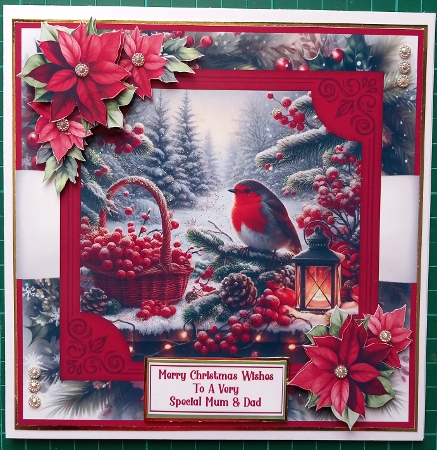 Festive Berry Robins - 7x7 Mini Kit 2 by Susan Heanes