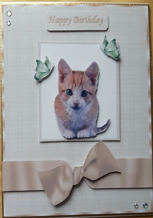 Such a Cute Little Kitten by Susan Heanes