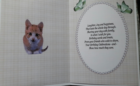 Such a Cute Little Kitten Insert by Susan Heanes